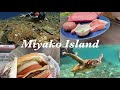 【宮古島Vlog】透明すぎる海と癒しの休日🌴