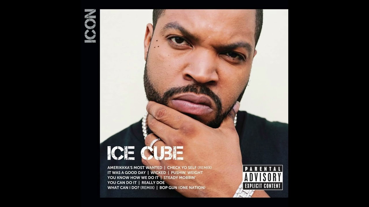 Ice Cube - Icon (2013)