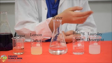 Measuring pH in Foods Experiment