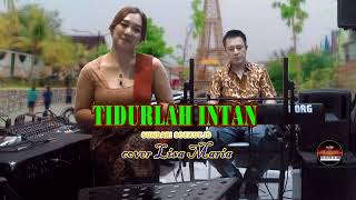 Download Lagu Tidurlah intan -  Cover Lisa Maria MP3