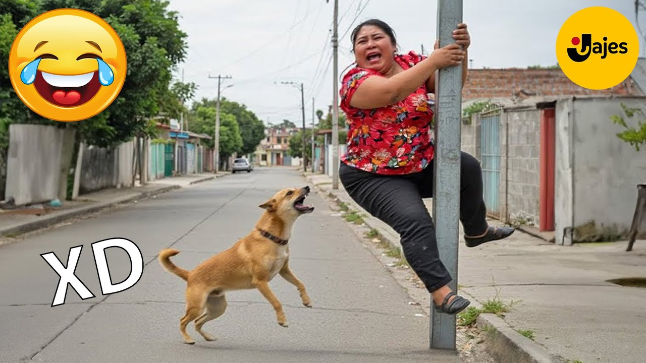 SI TE RÍES PIERDES NIVEL DIOS #126 🤣 VIDEOS DE RISA MUY GRACIOSOS 2025 🤣