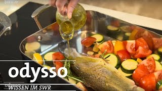 Ernährungskompass von Bas Kast  | SWR Wissen