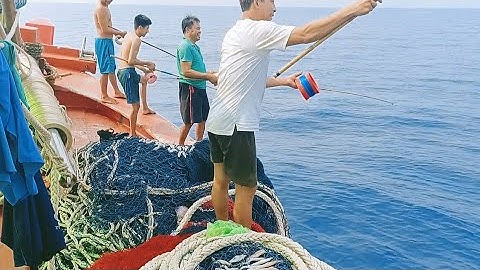 Nghề câu cá, câu mực ngoài kiếm tiền cũng là niềm đam mê, hấp dẫn của ngư dân #sóng biển hứa đông