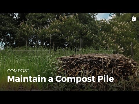 Comment maintenir un tas de compost