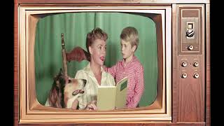 Celebrity Little-Known Details About Lassie TV Series Even True Fans Dont Know Net Worth