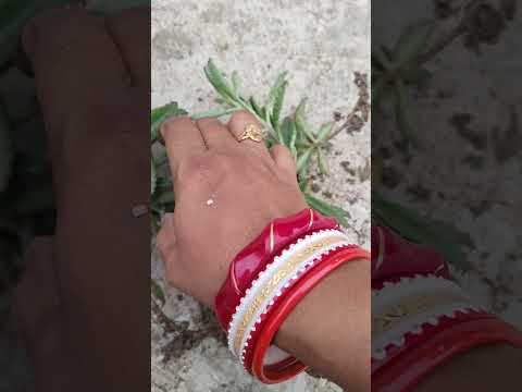 ୫ଦିନ ପରେ ଲଗେଇଲି#motherofmillions #plants #ytshorts #viralshorts #2026 #garden #odisha #grow