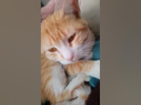 тити - YouTube