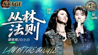 STAGE | Sitar Tan / Bai Xiaobai《Law of the Jungle》| Hit Song S2 EP5