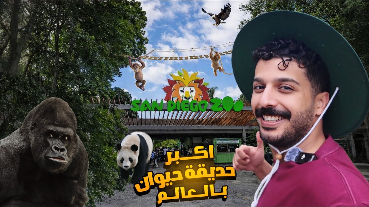 من أفضل يوم في أمريكا إلى أسوأ نهاية ممكنة!😱🇺🇸