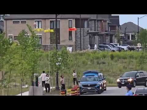 🇨🇦 Pigeons Tethered to Poles in Bizarre Incident in Erin, Ontario