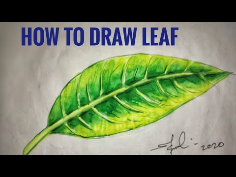 How to draw leaf with water colors