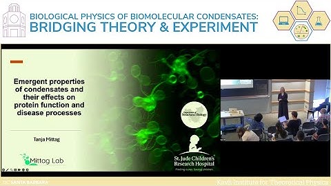 Emergent properties of condensates and their effects on protein function.. | Tanja Mittag (St. Jude)