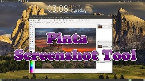 Pinta: Screenshot Tool