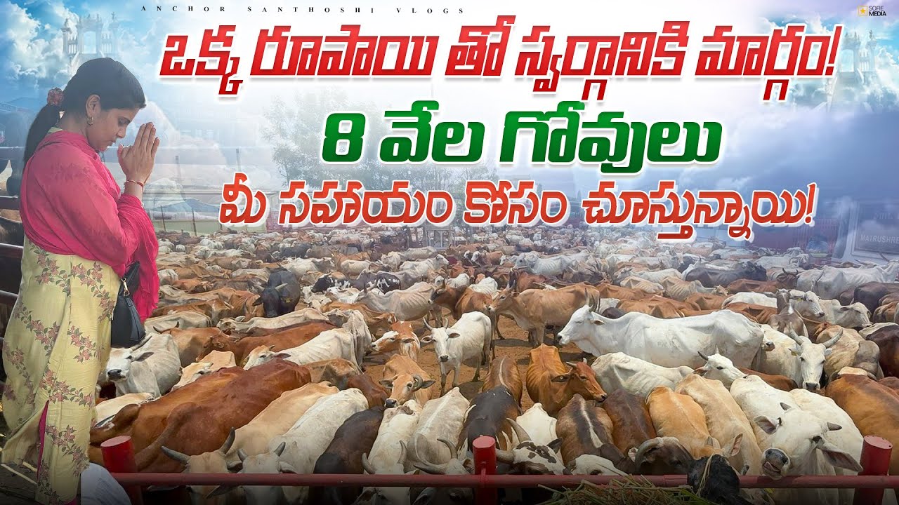 చాలా కష్టంలో ఉన్నాను😭 ఒక్క రూపాయి ఇచ్చి సహాయపడతారా🙏 Helping Hand | Vlog | Sathyam shivam Sundaram |