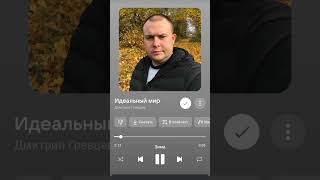 идеальный мир