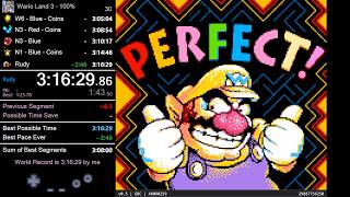 [WR] Wario Land 3 — 100% — 3:16:29