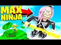 SIAMO I NINJA PIÙ FORTI DI TUTTA LA MAPPA! - ROBLOX