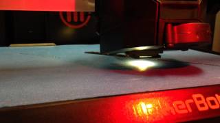 MakerBot Replicator (5th Gen) Diagonal Print Error