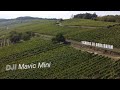 Ref:CBbOTTcLrro BALADE DANS LE VIGNOBLE ALSACIEN - DORLISHEIM (�t� 2020) - DJI MAVIC MINI - DRONE ALSACE