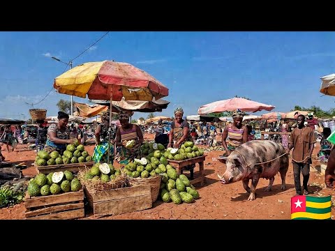 RURAL VILLAGE MARKET IN TOGO. LARGEST AND CHEAPEST ORGANIC FRESH FOOD MARKET IN RURAL TOGO