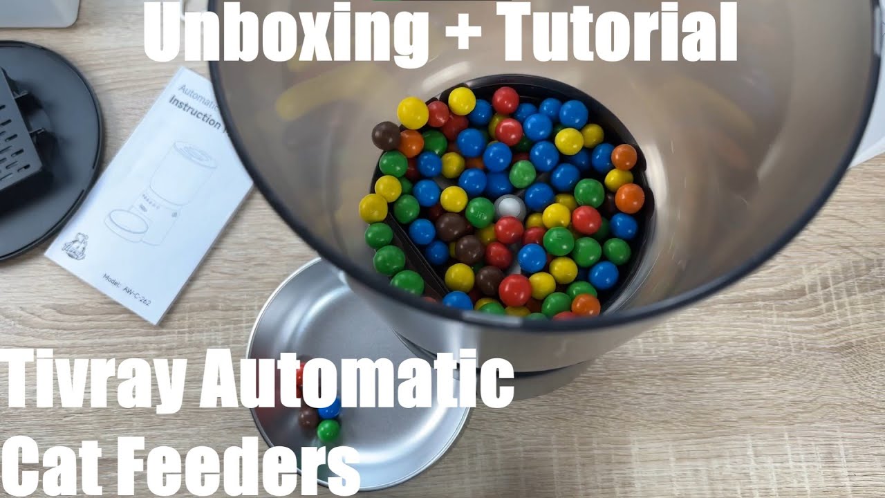 Timed Dog Feeder Near Me