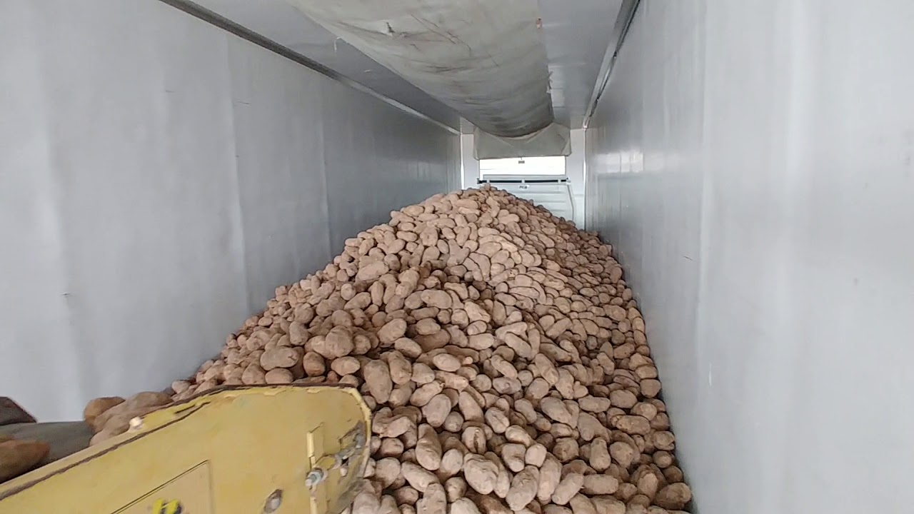 Inside the Reefer full of Bulk Potatoes YouTube