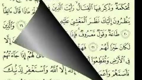 أجمل تلاوة سورة محمد ماهر المعيقلي Maher Almuaiqly mp4 1