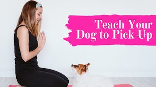 How To Teach Your Dog To Pick Up Things Properly -  Smart Dog Mom