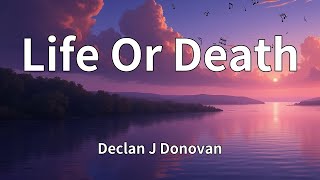Declan J Donovan  Life Or Death s