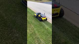Lawns in 2026 look like this now