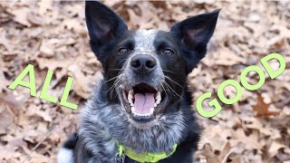 Bemo goes NUTS at Beacon Glades