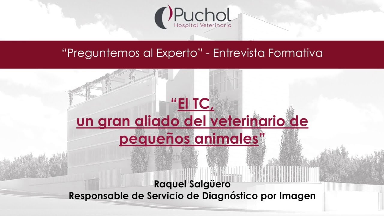 Tomografía Computarizada (TC), el gran aliado del veterinario en animales | Preguntemos al Experto