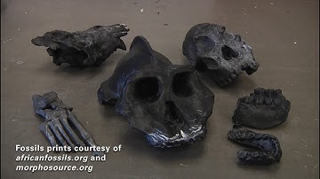 Additive Manufacturing Lab