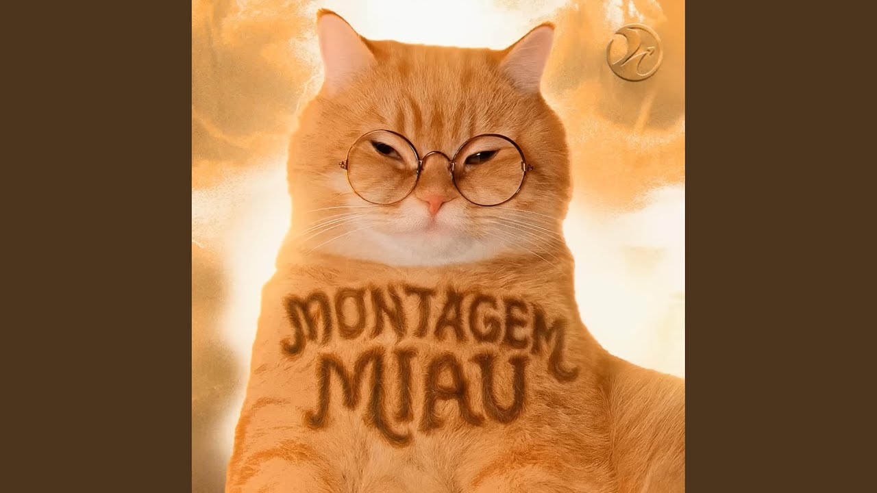 MONTAGEM MIAU (Slowed)