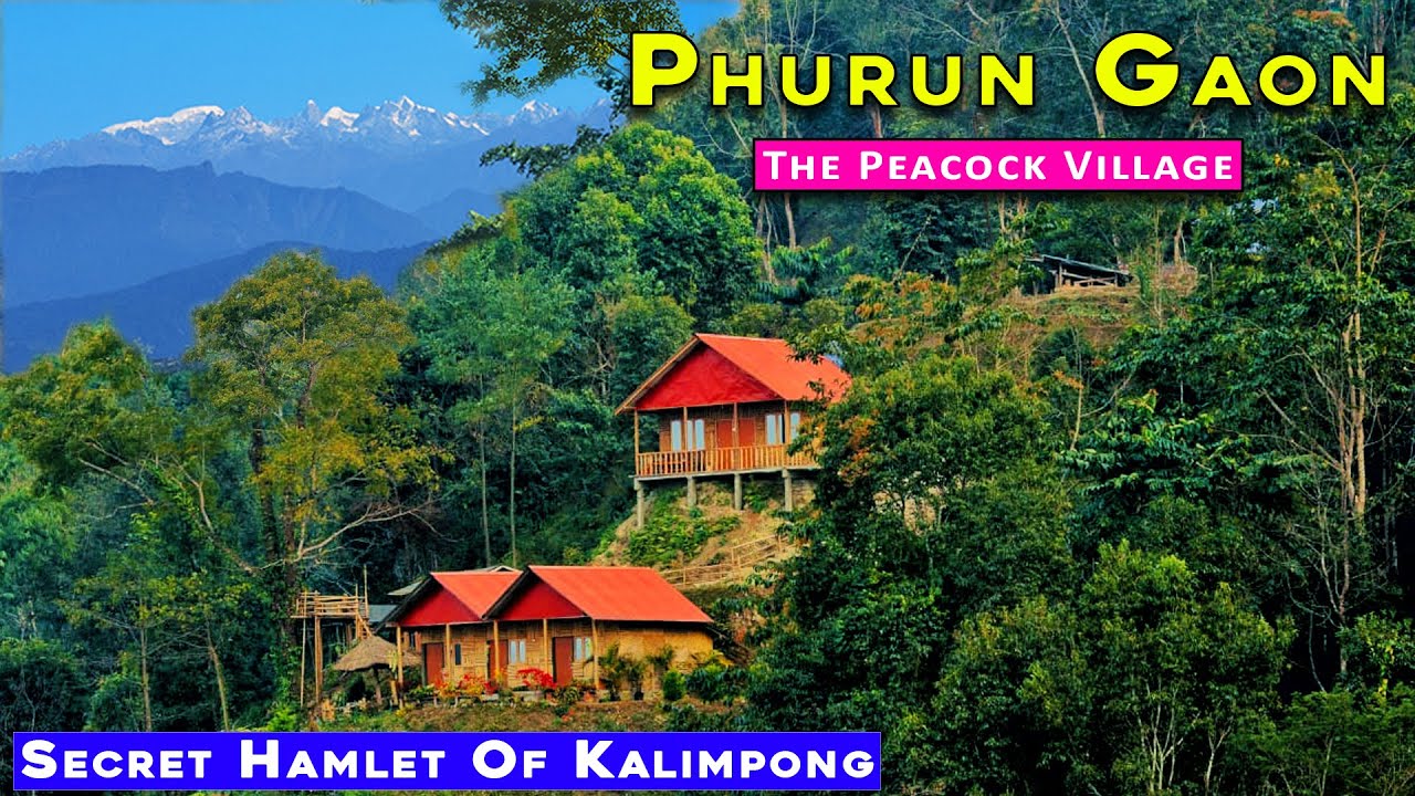 Phurun Gaon | A secret hill station in Kalimpong | Kashone | Ashika Homestay | Offbeat North Bengal