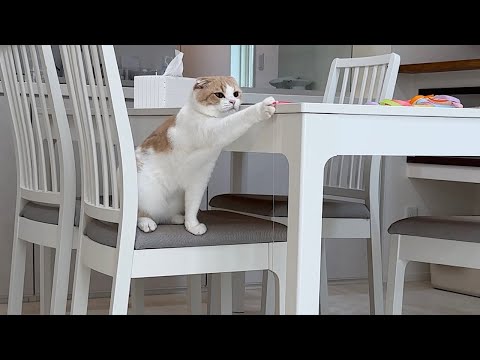 Mochimaru - YouTube