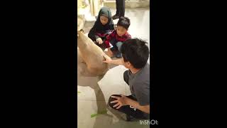 Visit to JustPets Megastore | 6 July 2025