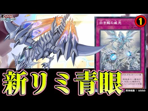 Tier1継続〗新リミ後も青眼（ブルーアイズ）が結局最強な件【遊戯王
