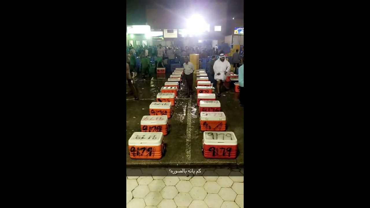 شوف اللي يصير بسوق السمك بالقطيف !!!  سناب الدمام وضواحيها damm.111
