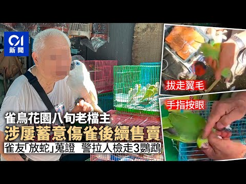 雀仔街｜涉屢次粗暴對待雀鳥　雀友放蛇蒐證　警拘八旬老檔主｜01新聞｜旺角｜花墟｜鸚鵡｜八哥｜雀檔