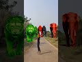 Big dinosaur chase T-rex chasing part -519#shorts #dinosaur #youtube #dinosaurs #superman #dinner🐯🦣🦖