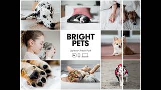 14 Pet Lovers Mobile Lightroom Presets screenshot 5