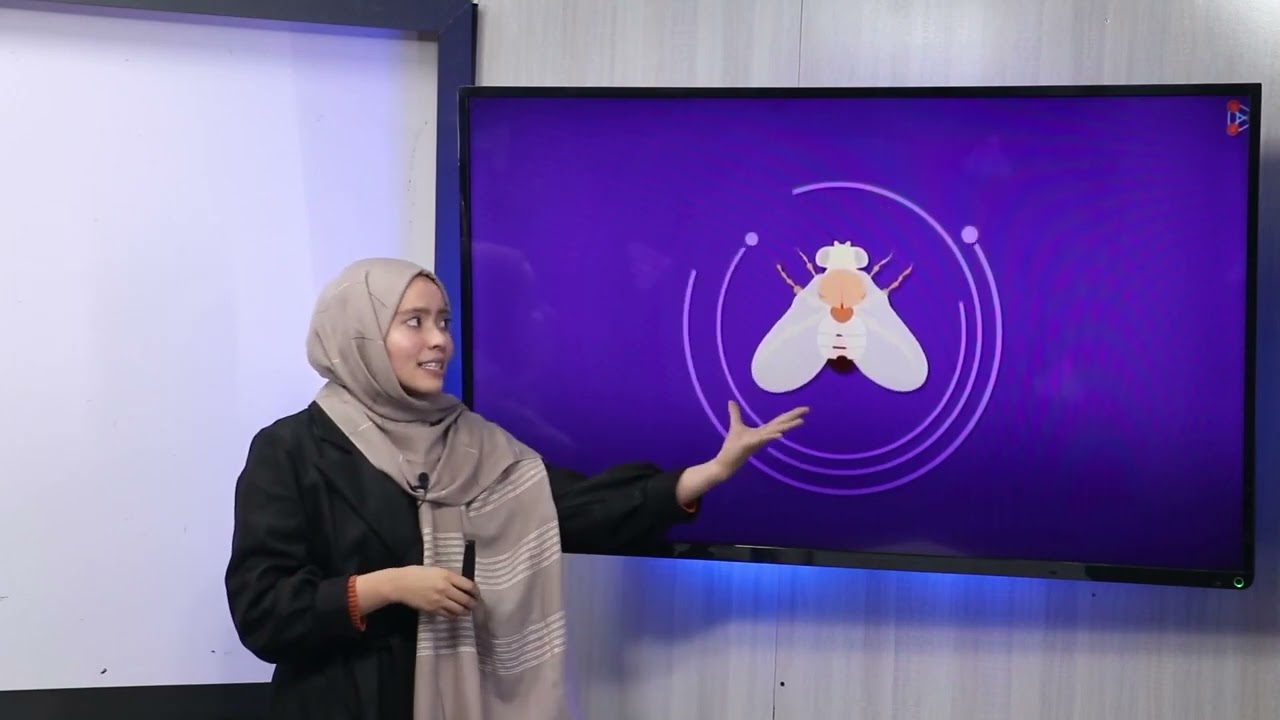 33 صنف دهم مضمون بیولوژی صفات ارثی وابسته به جنس رنگ چشم رنگ جلد