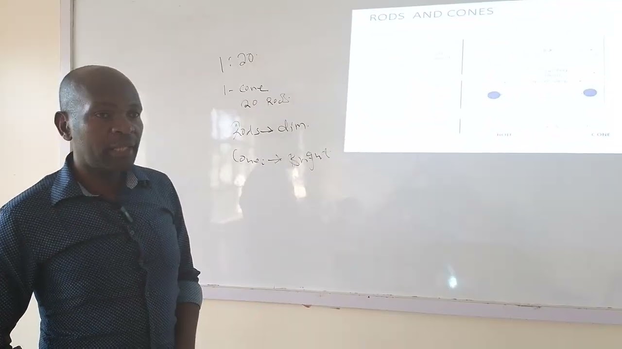 ROLE OF VITAMIN A IN VISION 