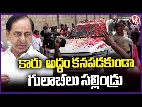 KCR Car Covered with Rose Petals as BRS Supporters Shower Flowers At Erravalli Farmhouse | V6 News - V6NEWSTELUGU