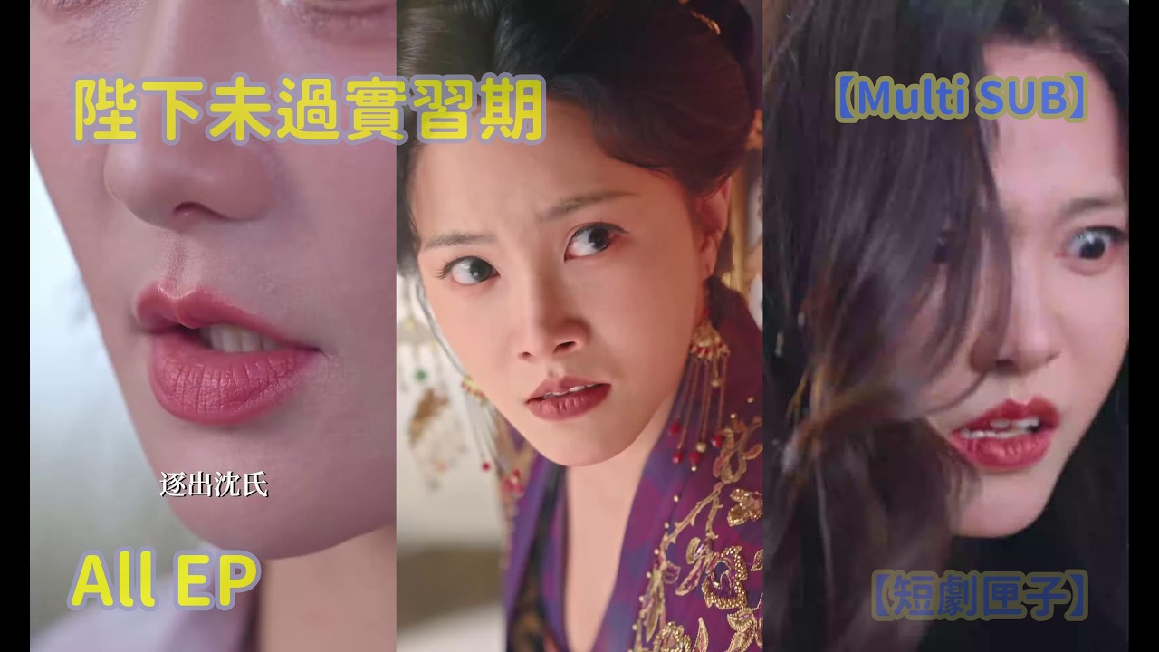 陛下未过实习期：穿越成妃的逆袭之路