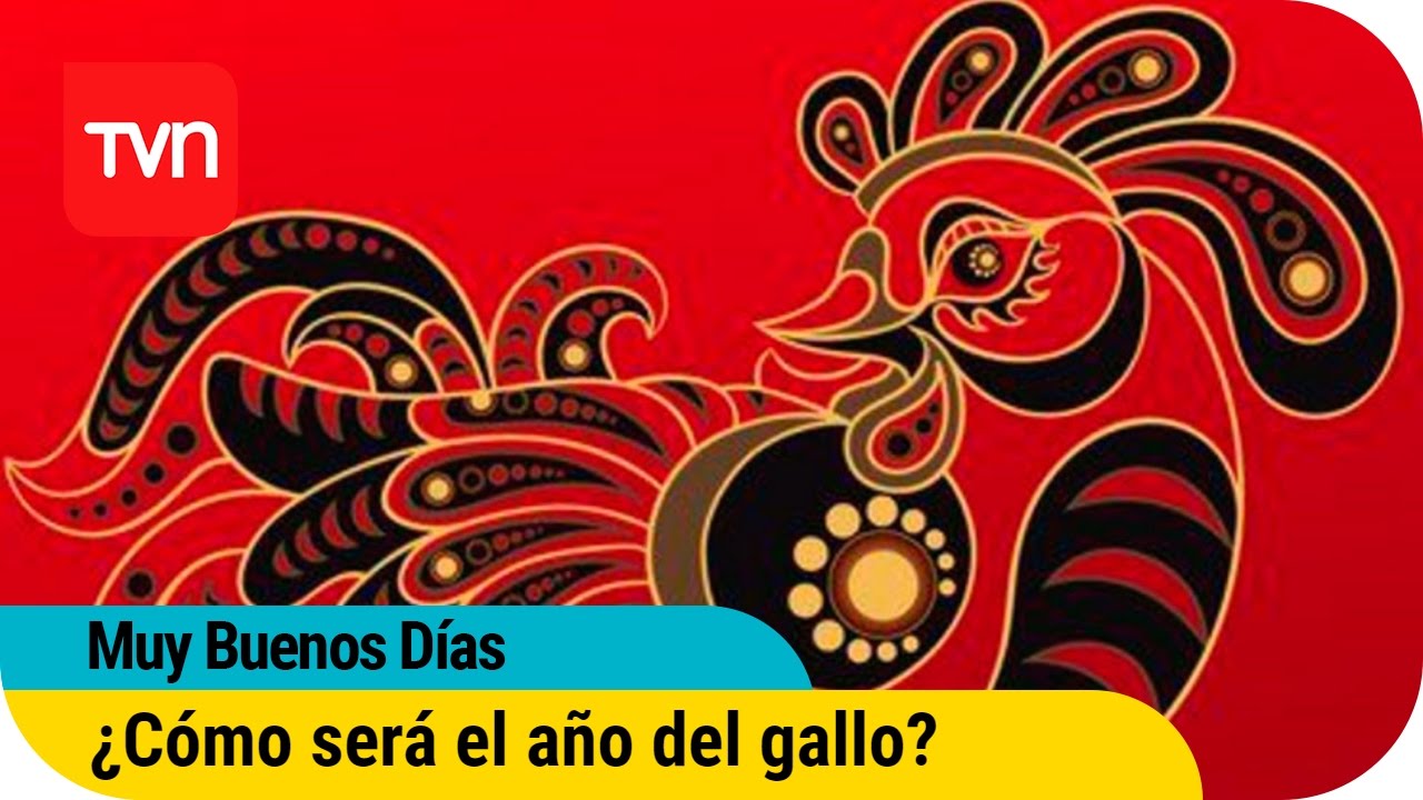¿Cómo será el año del gallo de fuego? | Muy buenos días