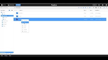 Firedrive Video Guide #33: Creating and Accessing A One Time DL Link