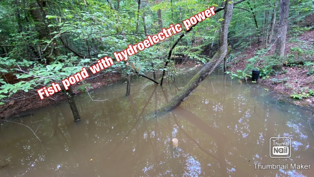 Fish pond with micro Hydro electric generator - YouTube