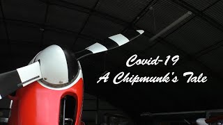 Covid 19 - A Chipmunk's Tale